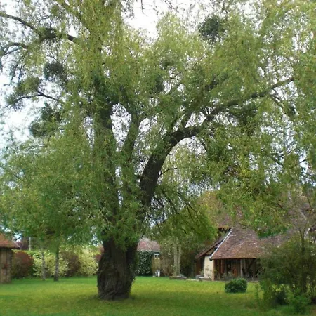 Lusigny-sur-barse, 4 Pieces, 6 Personnes - Fr-1-543-99 Σπίτι διακοπών Lusigny-sur-Barse